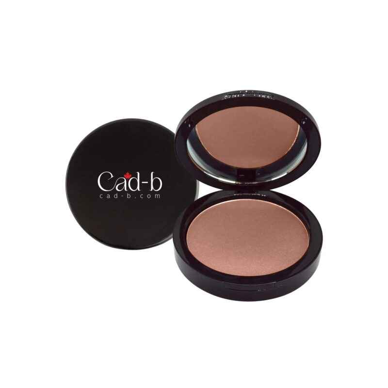 Dual Blend Powder Foundation - Ecru WD127 | Matte, Sleek Finish