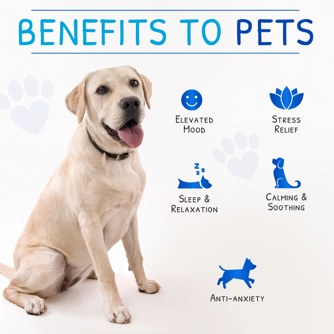 Zen Pet - Calm Drops-4